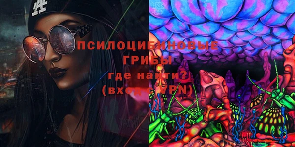 бошки Михайлов