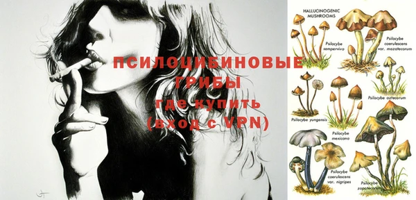 ПСИЛОЦИБИНОВЫЕ ГРИБЫ Лабытнанги