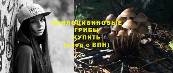 бошки Михайлов