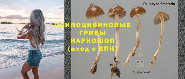 хмурый Лагань