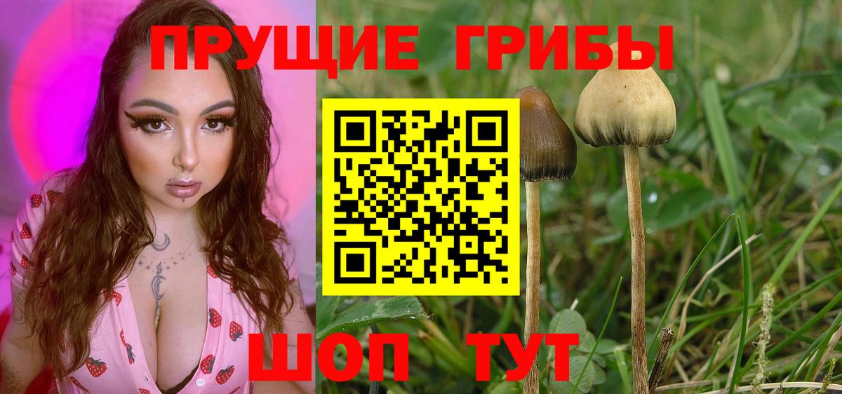 ГАШИШ  Cocaine  Нижнеудинск  Вход с VPN  Канабис  Мефедрон кристаллы  A-PVP СК кристаллы 