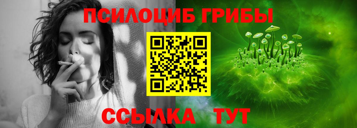 Псилоцибиновые грибы GOLDEN TEACHER Нижнеудинск