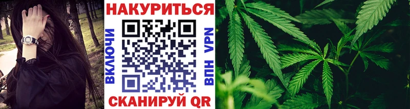 Бошки марихуана THC 21%  кракен как войти  Нижнеудинск  где купить наркотик 